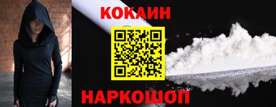 крисы Кулебаки