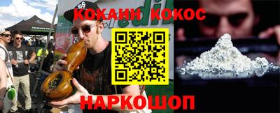 крисы Кулебаки