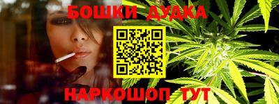 крисы Кулебаки
