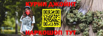 крисы Кулебаки