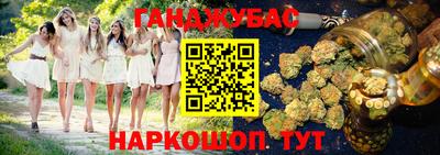 крисы Кулебаки