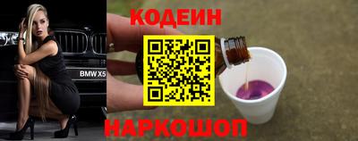 крисы Кулебаки
