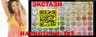 крисы Кулебаки
