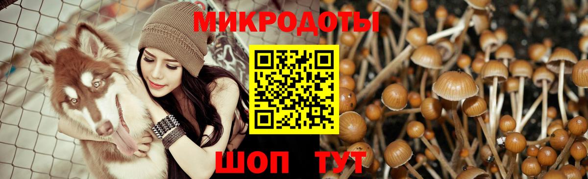 Псилоцибиновые грибы прущие грибы Ирбит